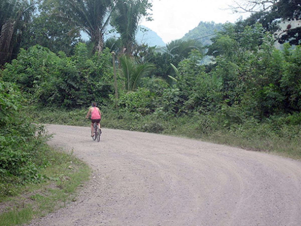 Omega Tours Eco-Jungle Lodge La Ceiba Exterior foto