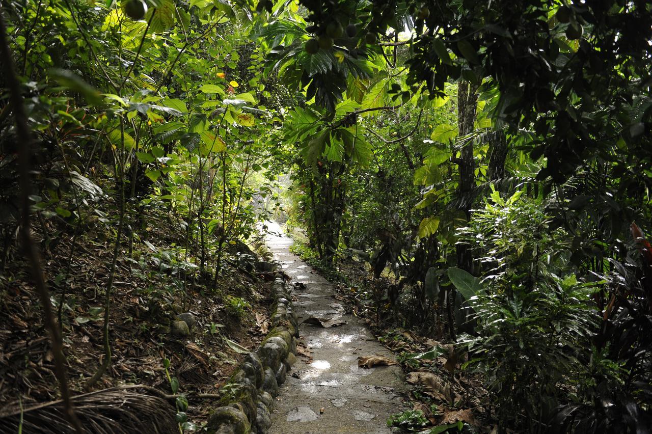 Omega Tours Eco-Jungle Lodge La Ceiba Exterior foto