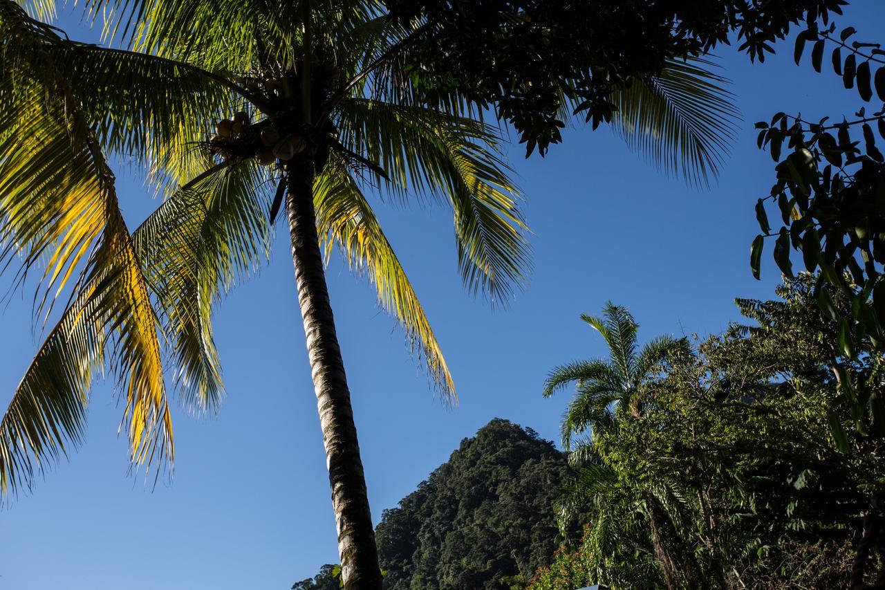Omega Tours Eco-Jungle Lodge La Ceiba Exterior foto