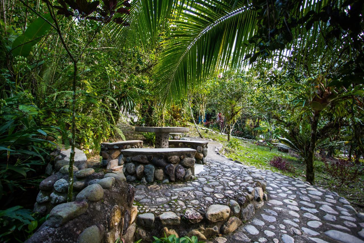 Omega Tours Eco-Jungle Lodge La Ceiba Exterior foto