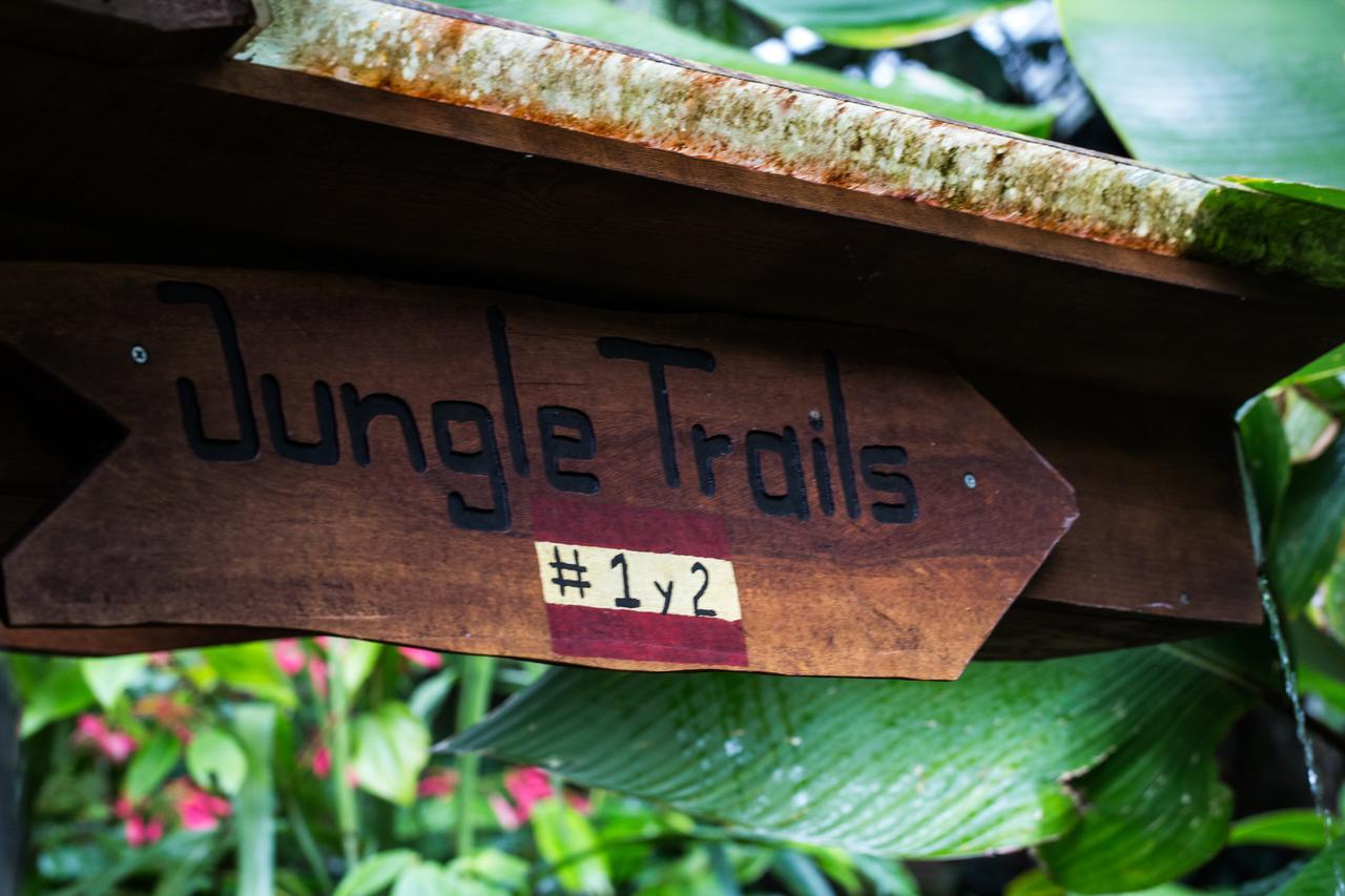 Omega Tours Eco-Jungle Lodge La Ceiba Exterior foto